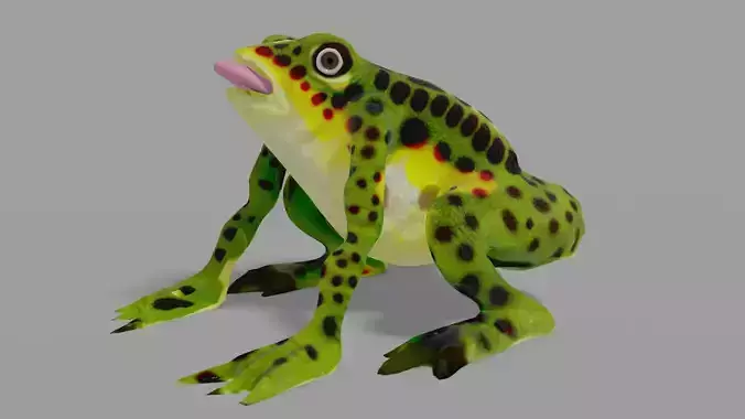 frog lowpoly