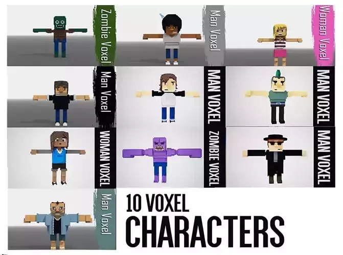 Voxel  characters 3D Model Collection