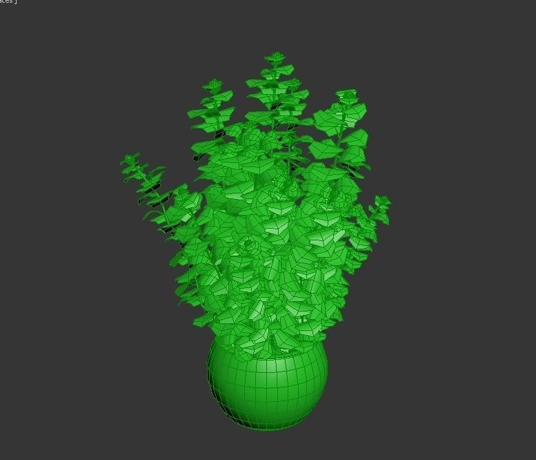 Cannabis Low poly plant in pot 3D model_3