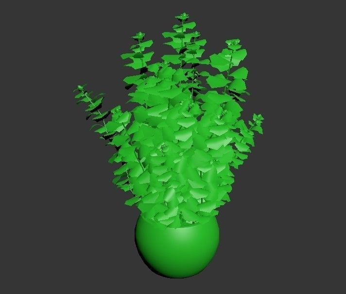 Cannabis Low poly plant in pot 3D model_10