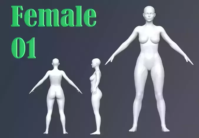 Female 01 Base Mesh