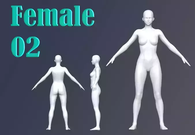 Female 02 Base Mesh