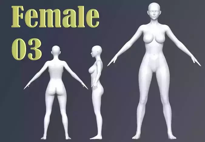 Female 03 Base Mesh