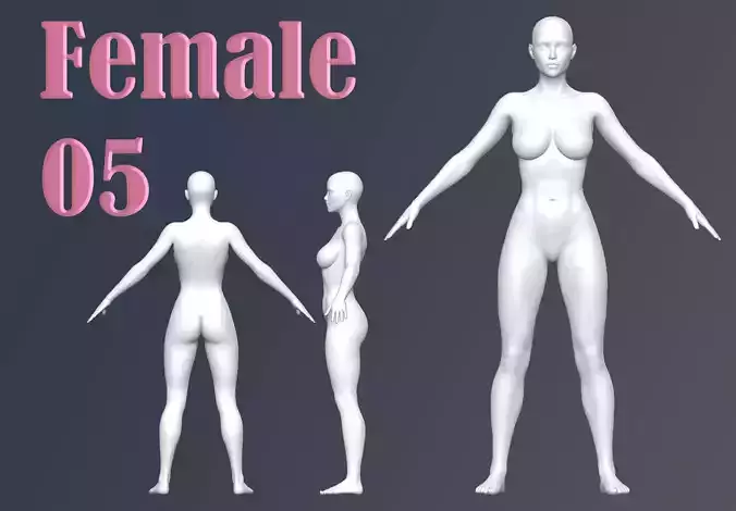 Female 05 Base Mesh