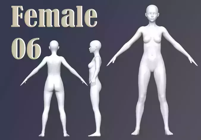 Female 06 Base Mesh