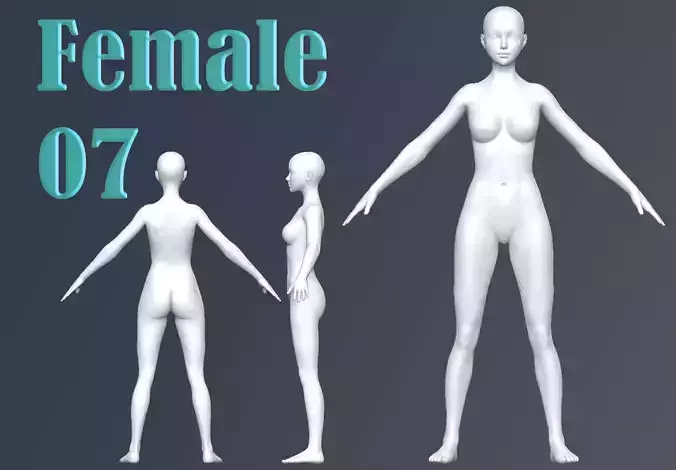 Female 07 Base Mesh