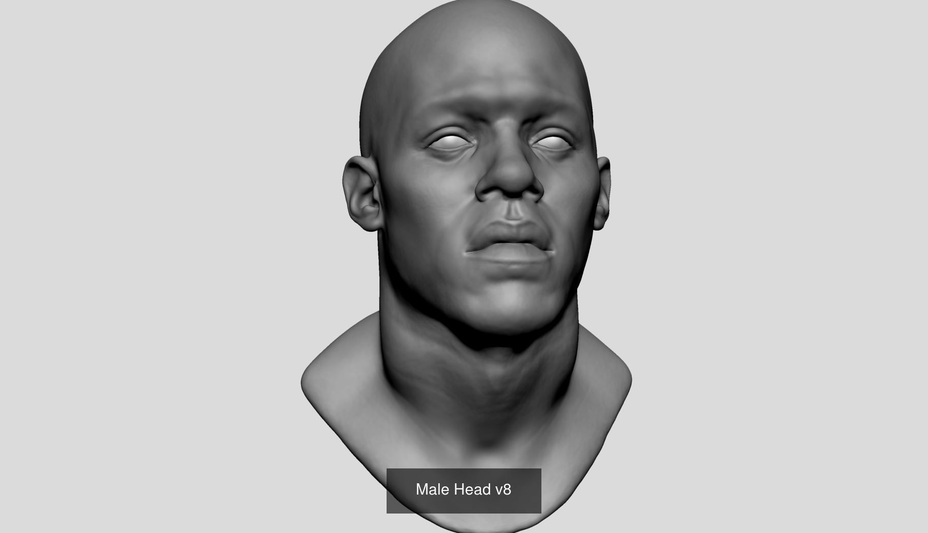 Male Female Head Bundle 3D Model Collection_3