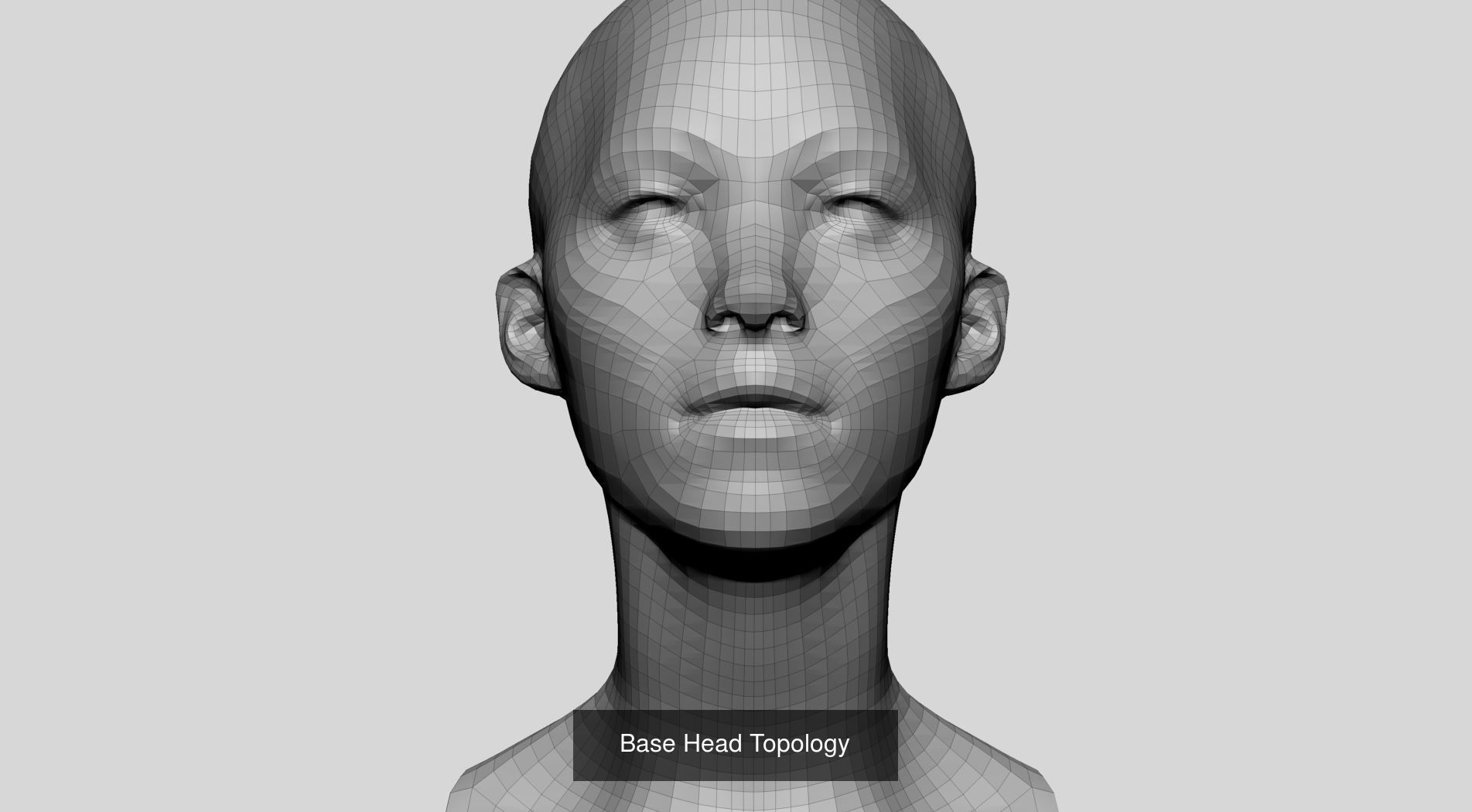 Male Female Head Bundle 3D Model Collection_5