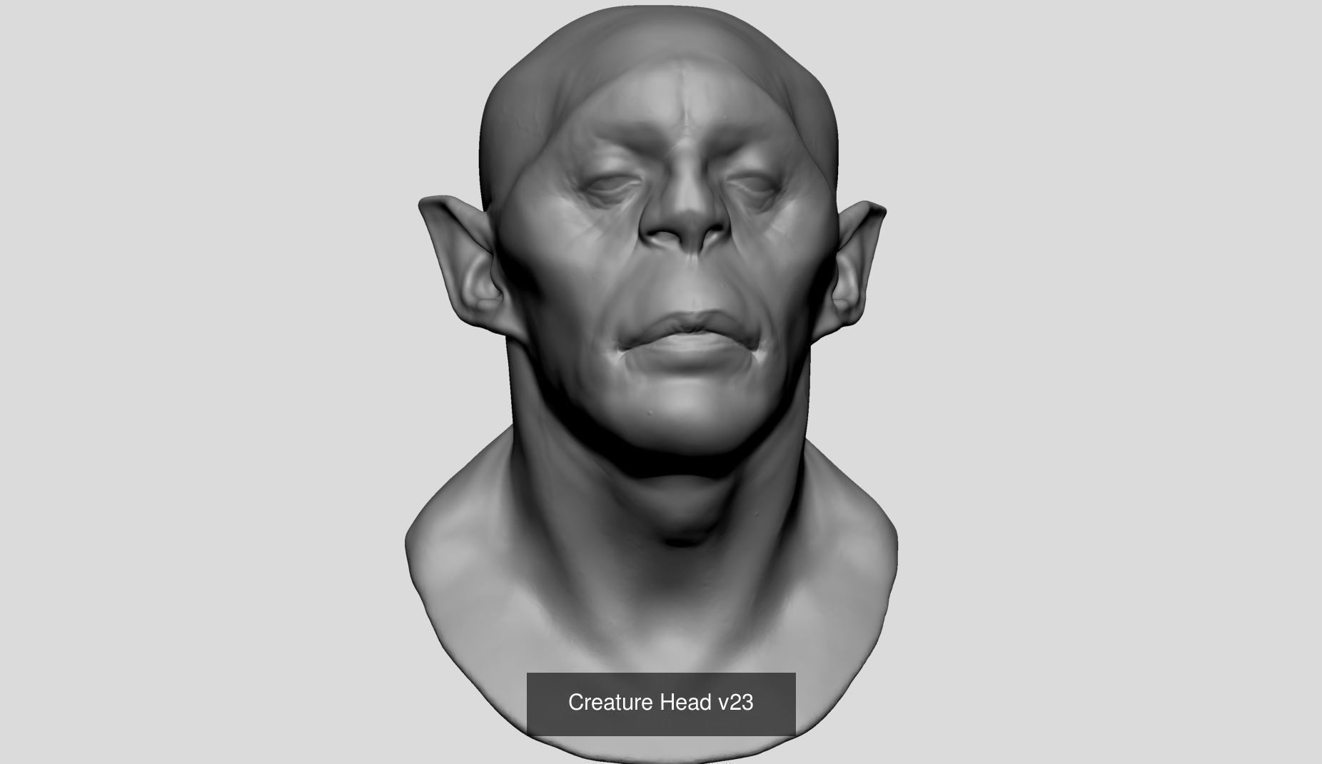 Male Female Head Bundle 3D Model Collection_11