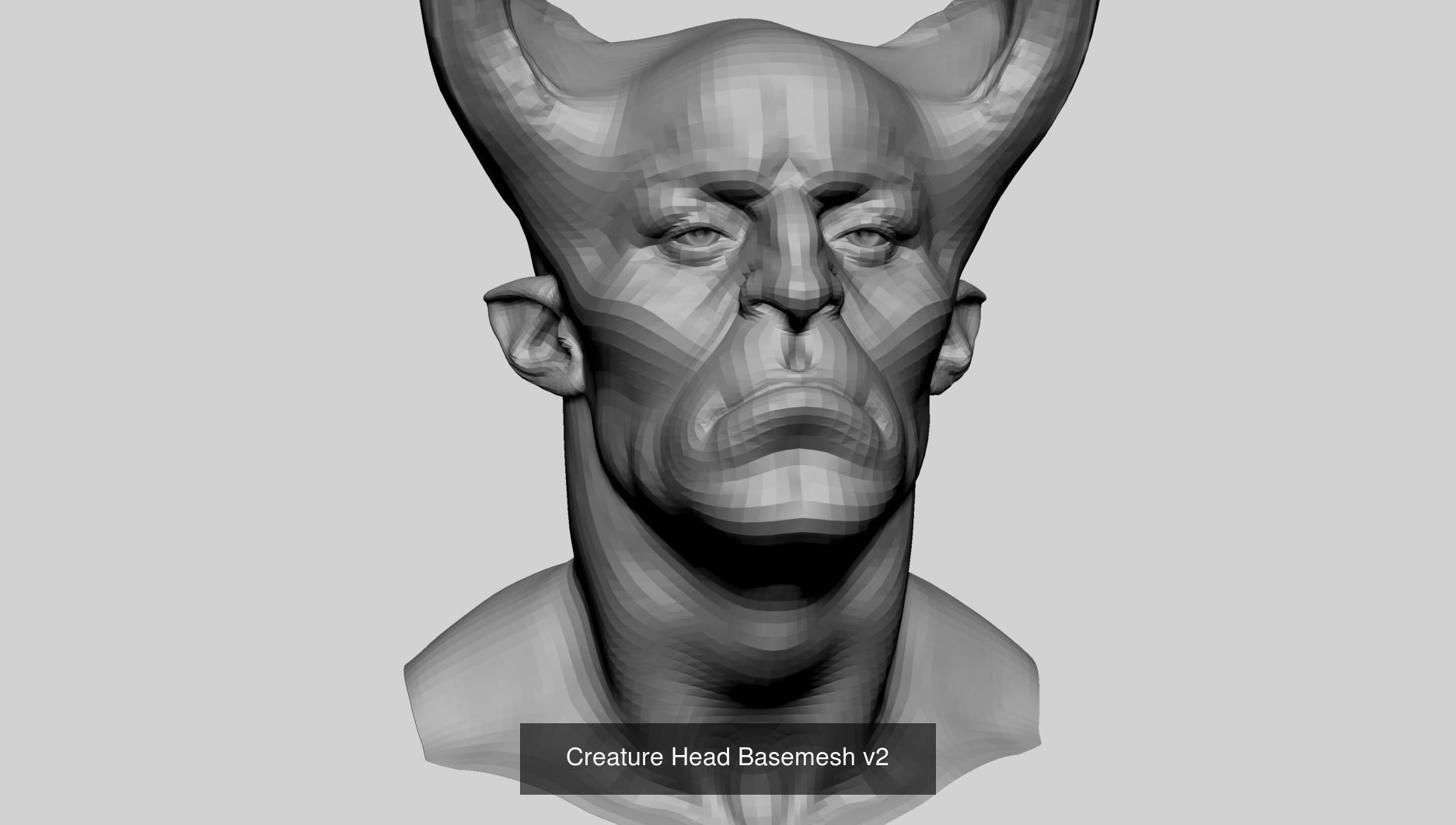 Male Female Head Bundle 3D Model Collection_4