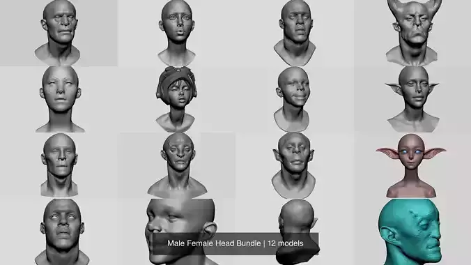 Male Female Head Bundle 3D Model Collection