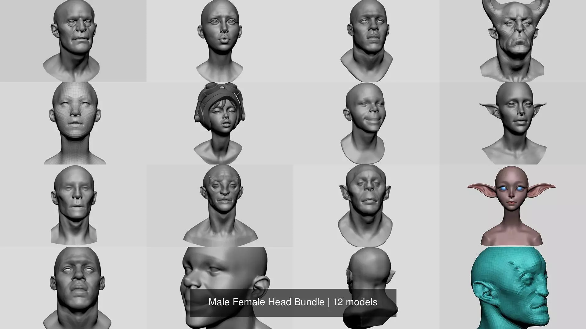 Male Female Head Bundle 3D Model Collection_0