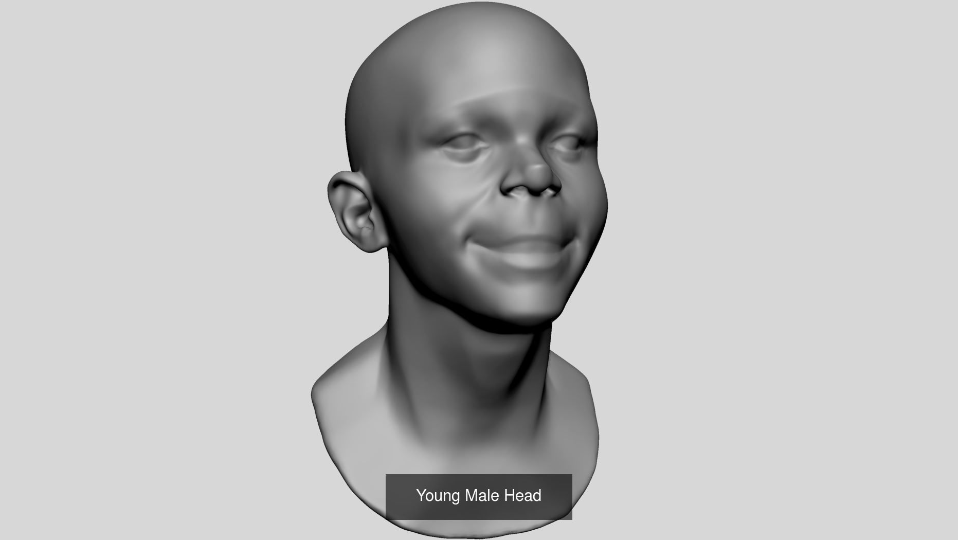 Male Female Head Bundle 3D Model Collection_7