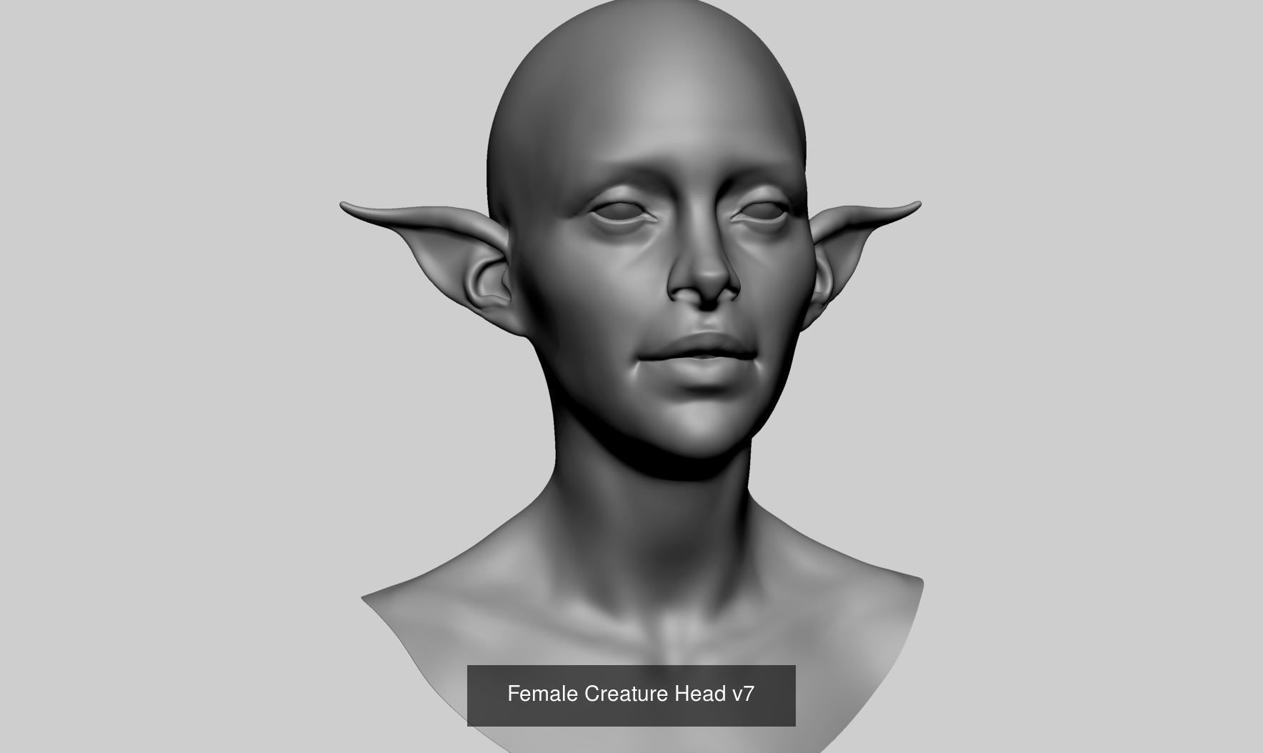 Male Female Head Bundle 3D Model Collection_8