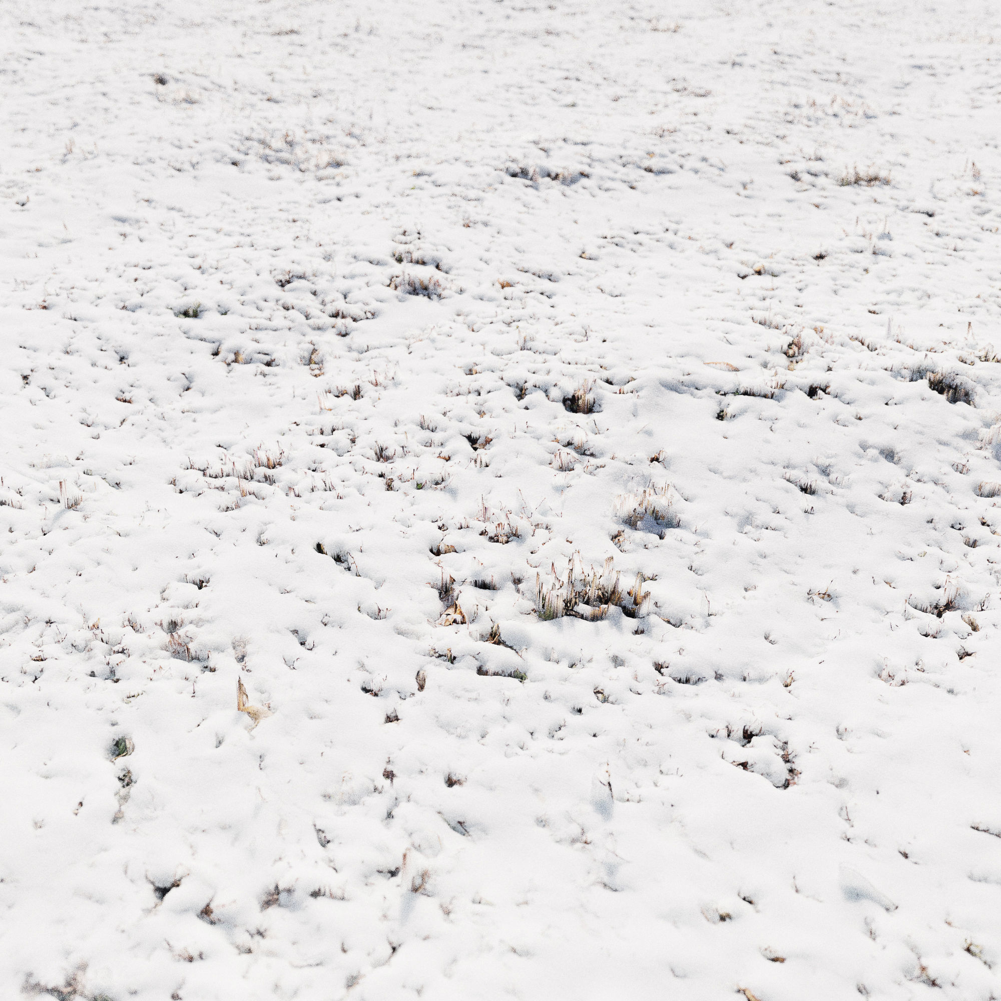 Ultra realistic Snow ground 3 2021 Hq Scan 3D model 3D model_2