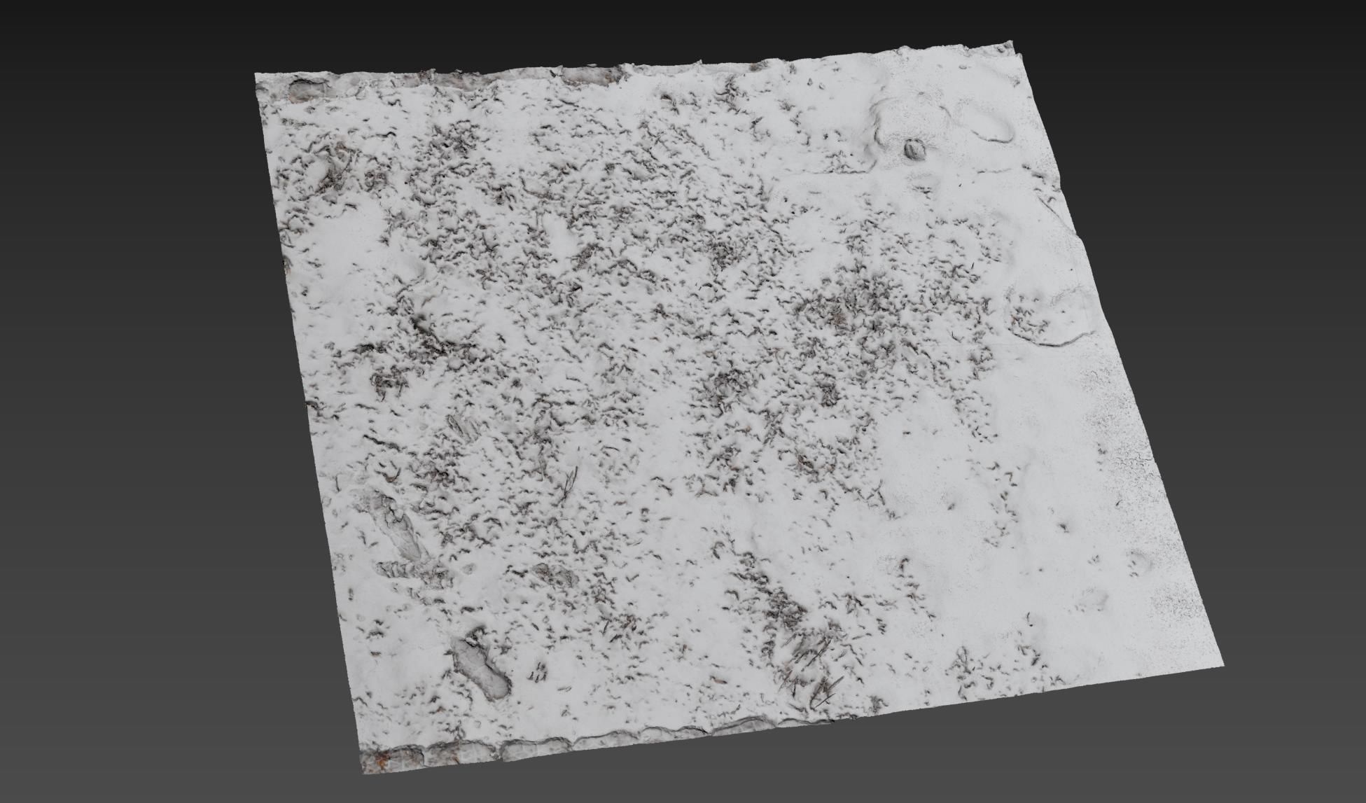 Ultra realistic Snow ground 3 2021 Hq Scan 3D model 3D model_8