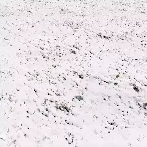 Ultra realistic Snow ground 3 2021 Hq Scan 3D model 3D model