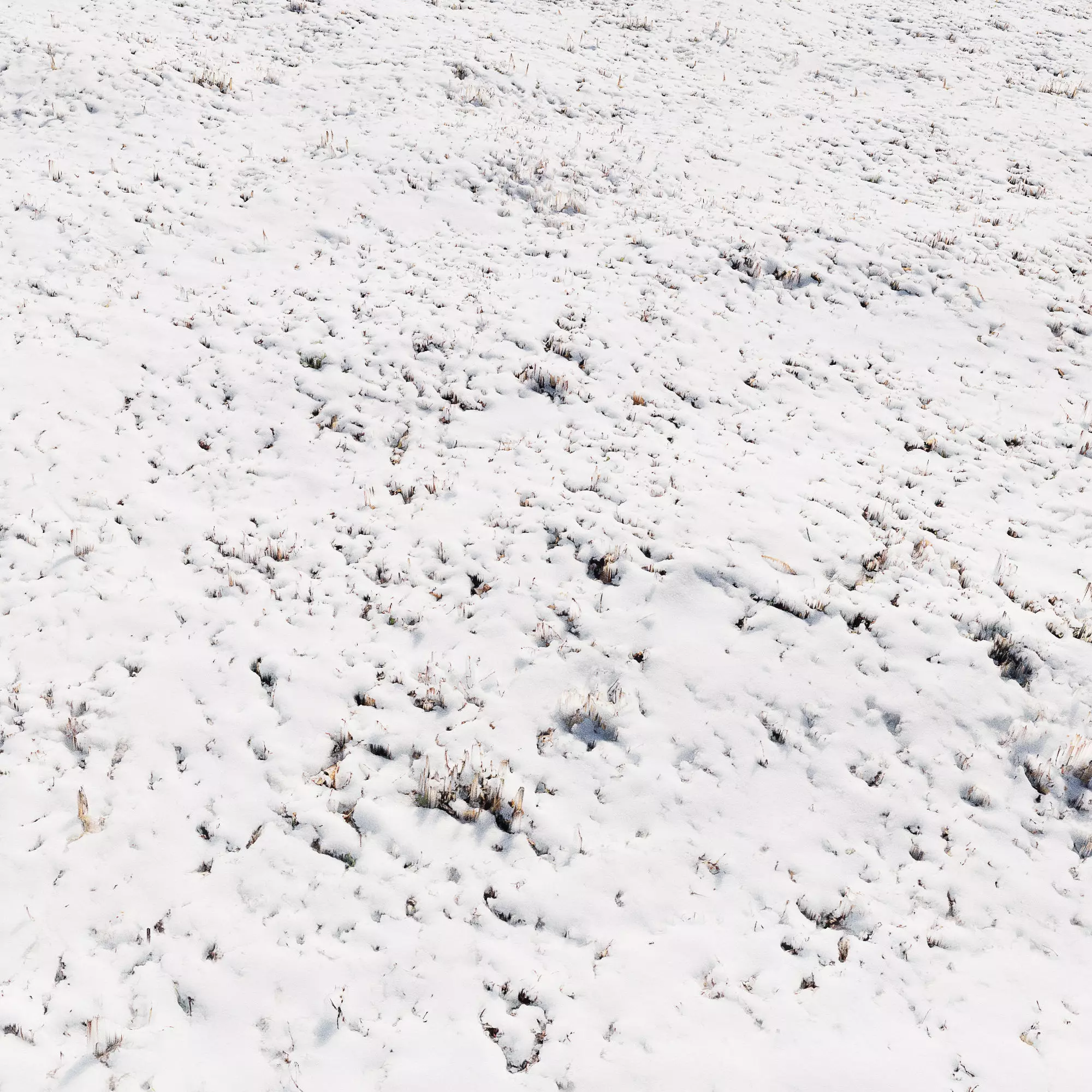 Ultra realistic Snow ground 3 2021 Hq Scan 3D model 3D model_0