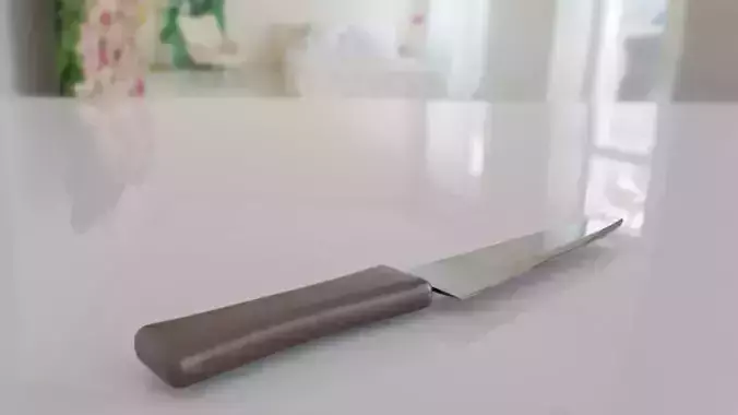 Knife