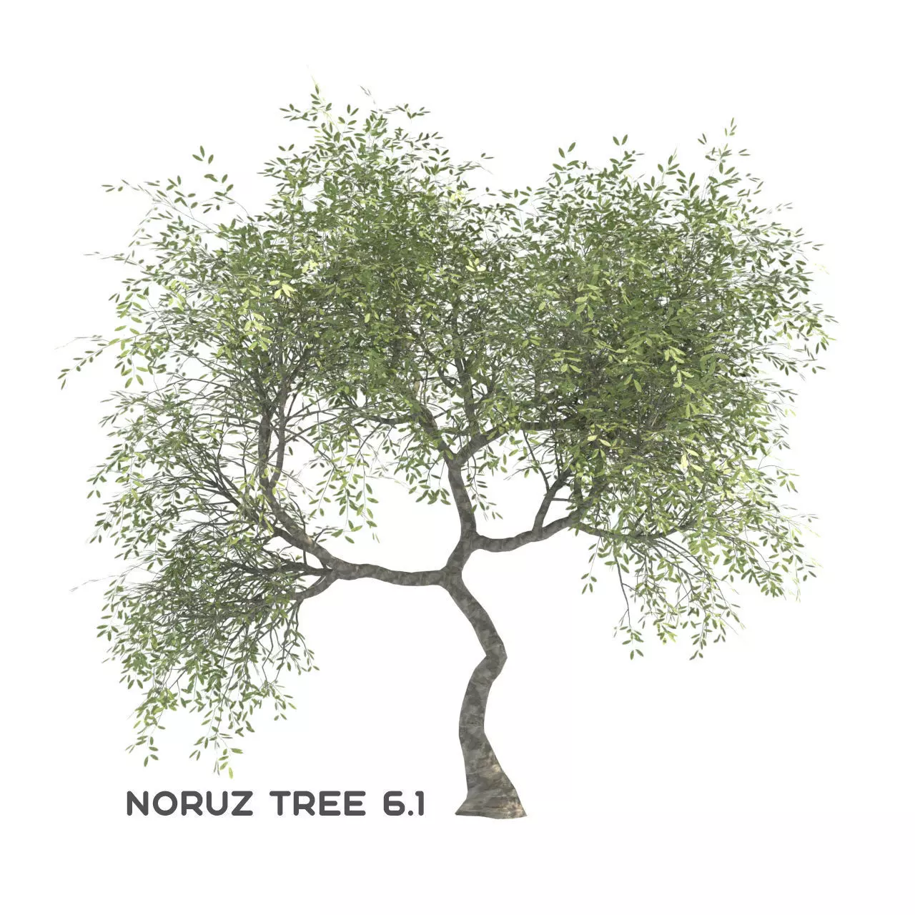 Noruz tree 61 Free 3D model