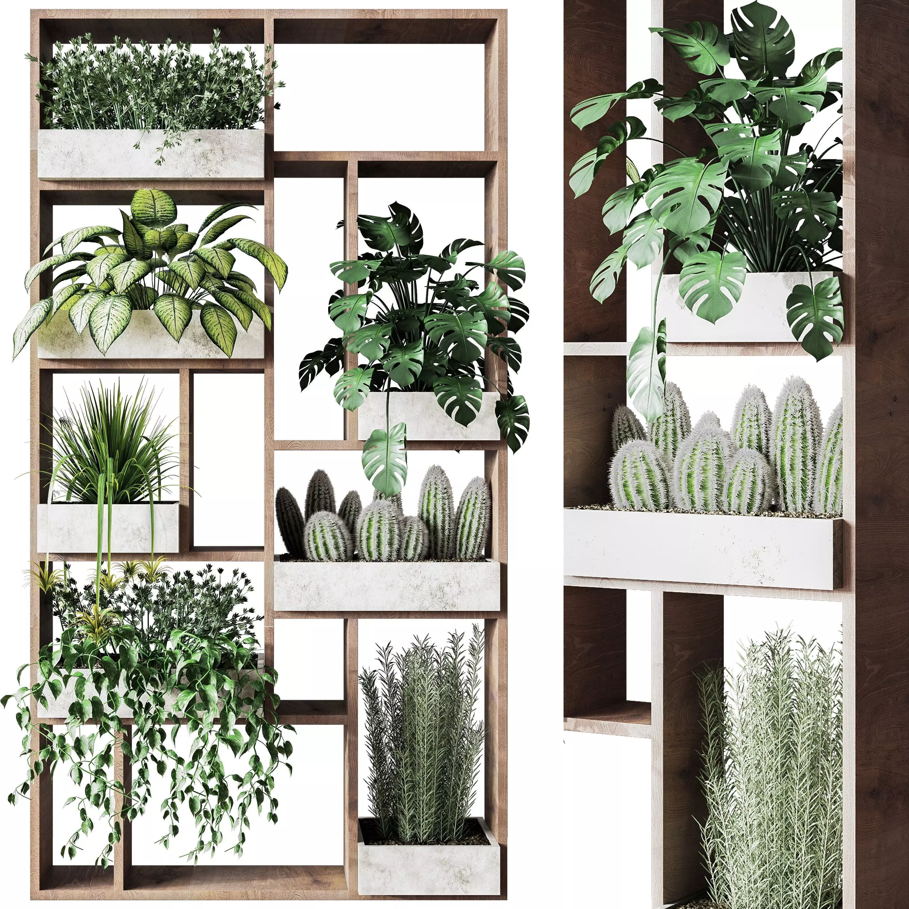 FitpWall03 wooden plant shelf with plants 3D model
