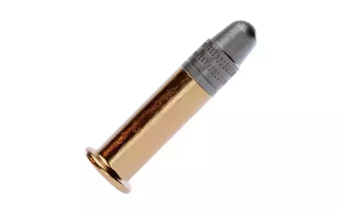 22 Long Rifle Bullet
