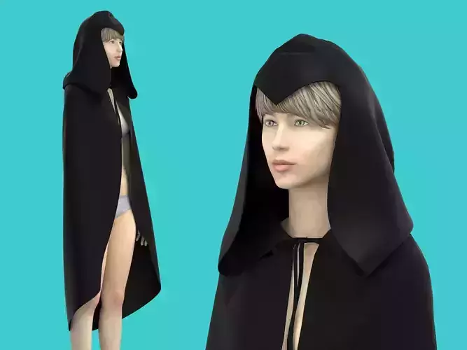 cape hood 3D model