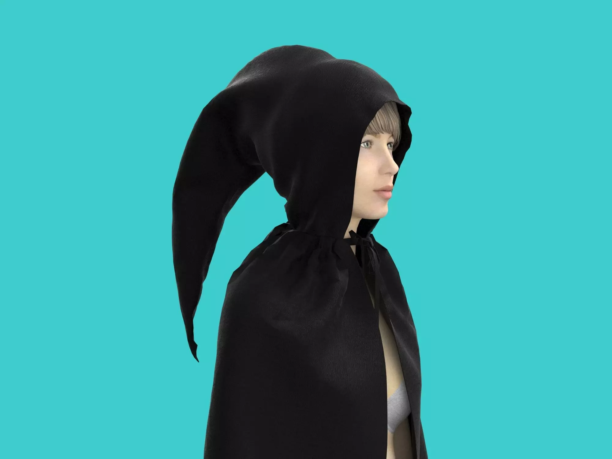 cape hood 3D model_0