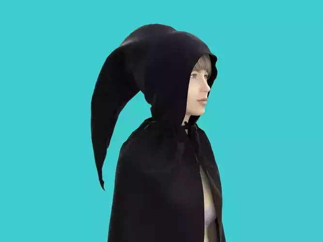 cape hood 3D model