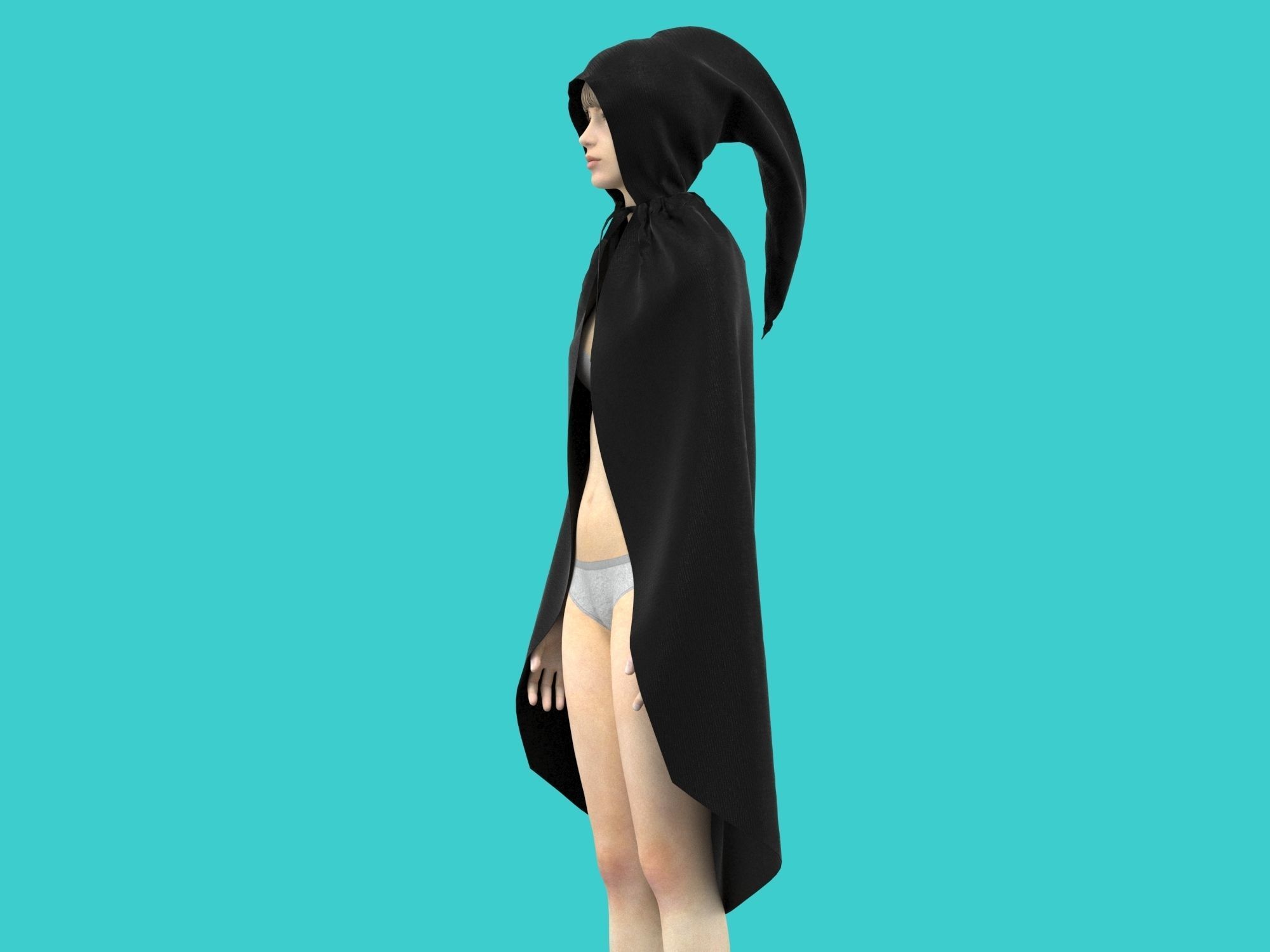 cape hood 3D model_2