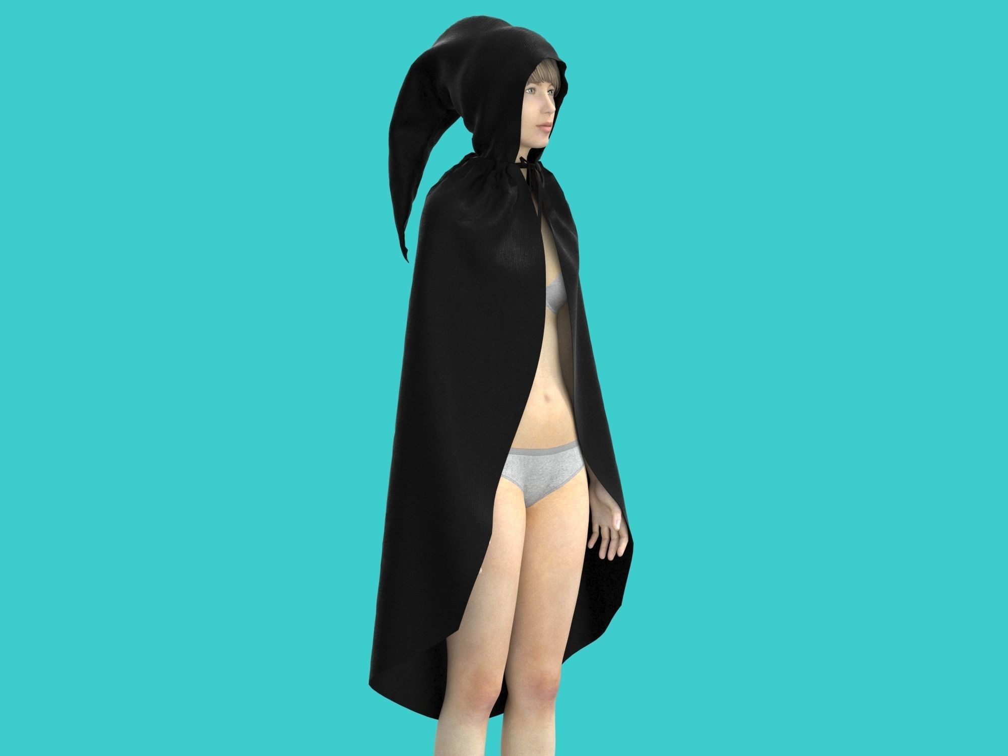 cape hood 3D model_1