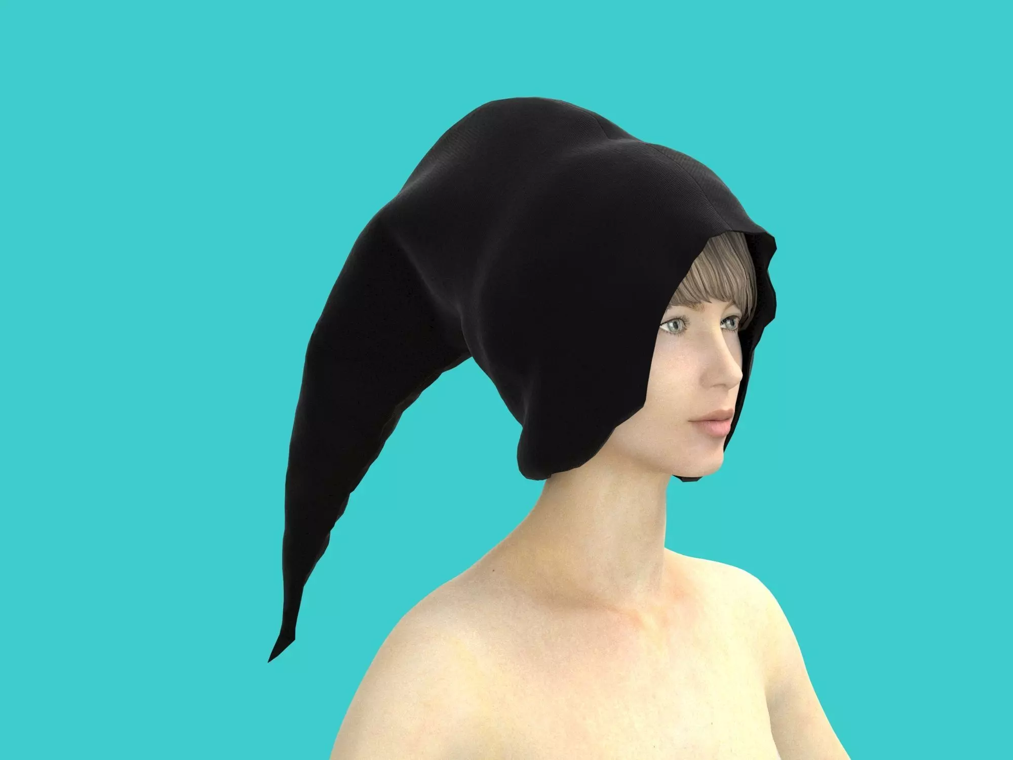 3d hood hat 3D model_0