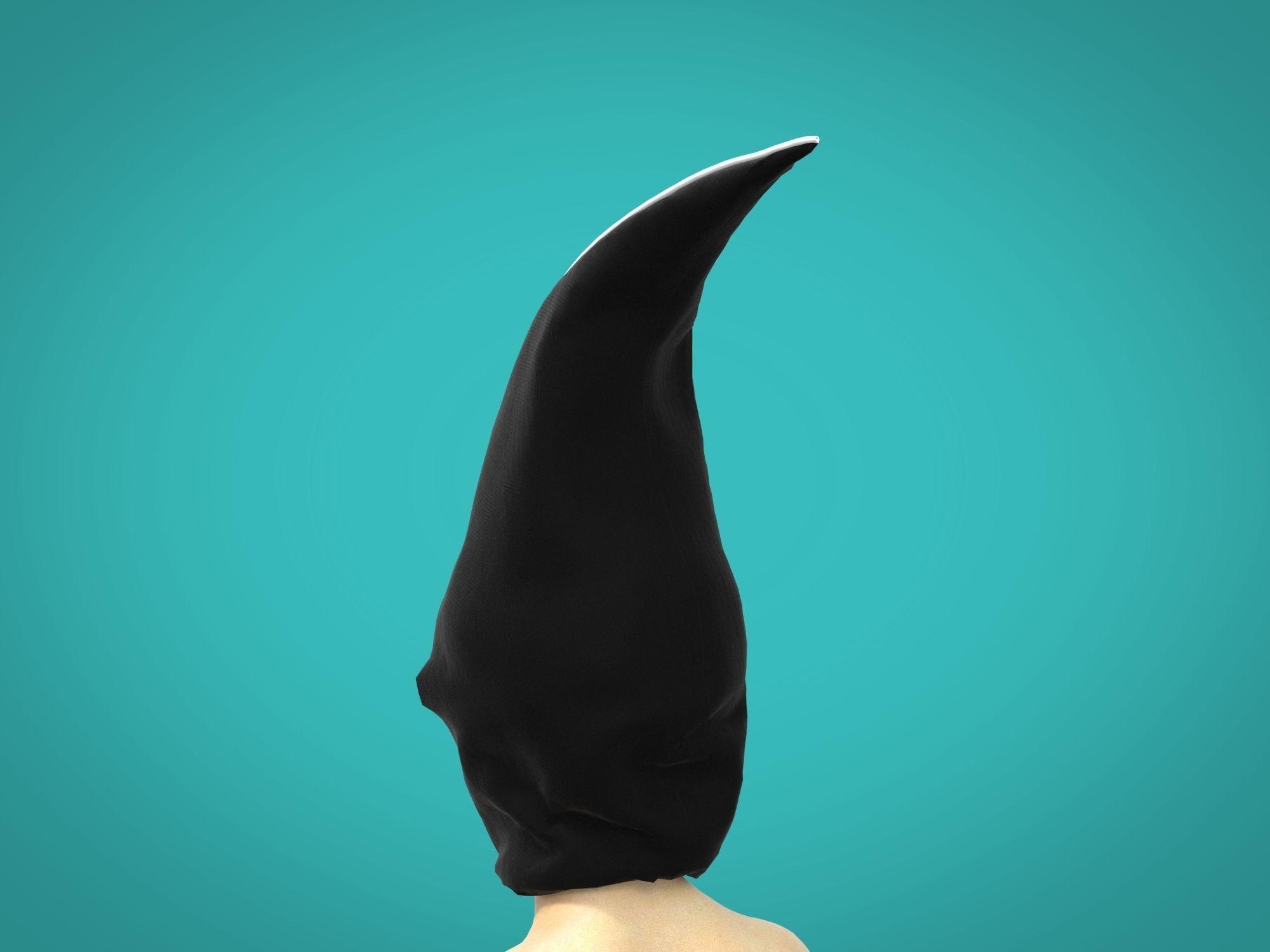 3d hood whale 3D model_4