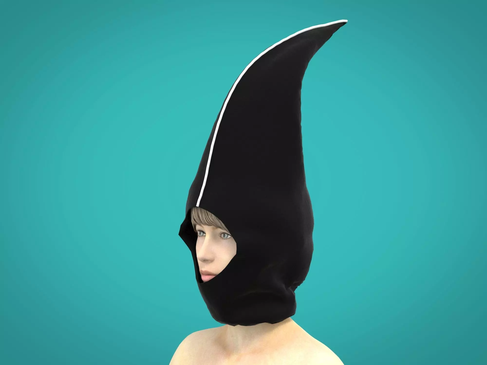 3d hood whale 3D model_0
