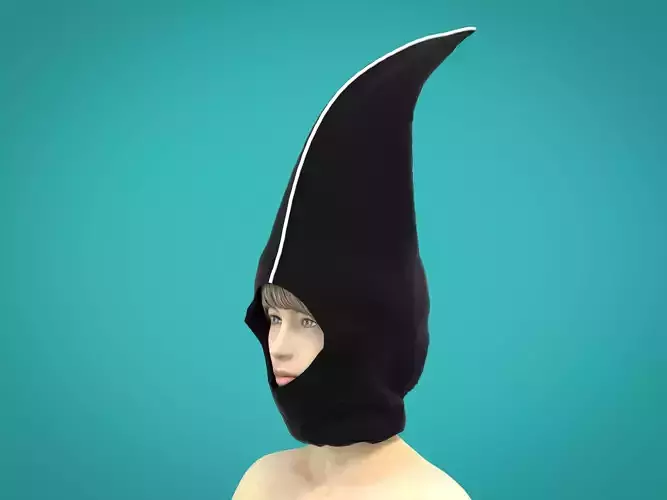 3d hood whale 3D model