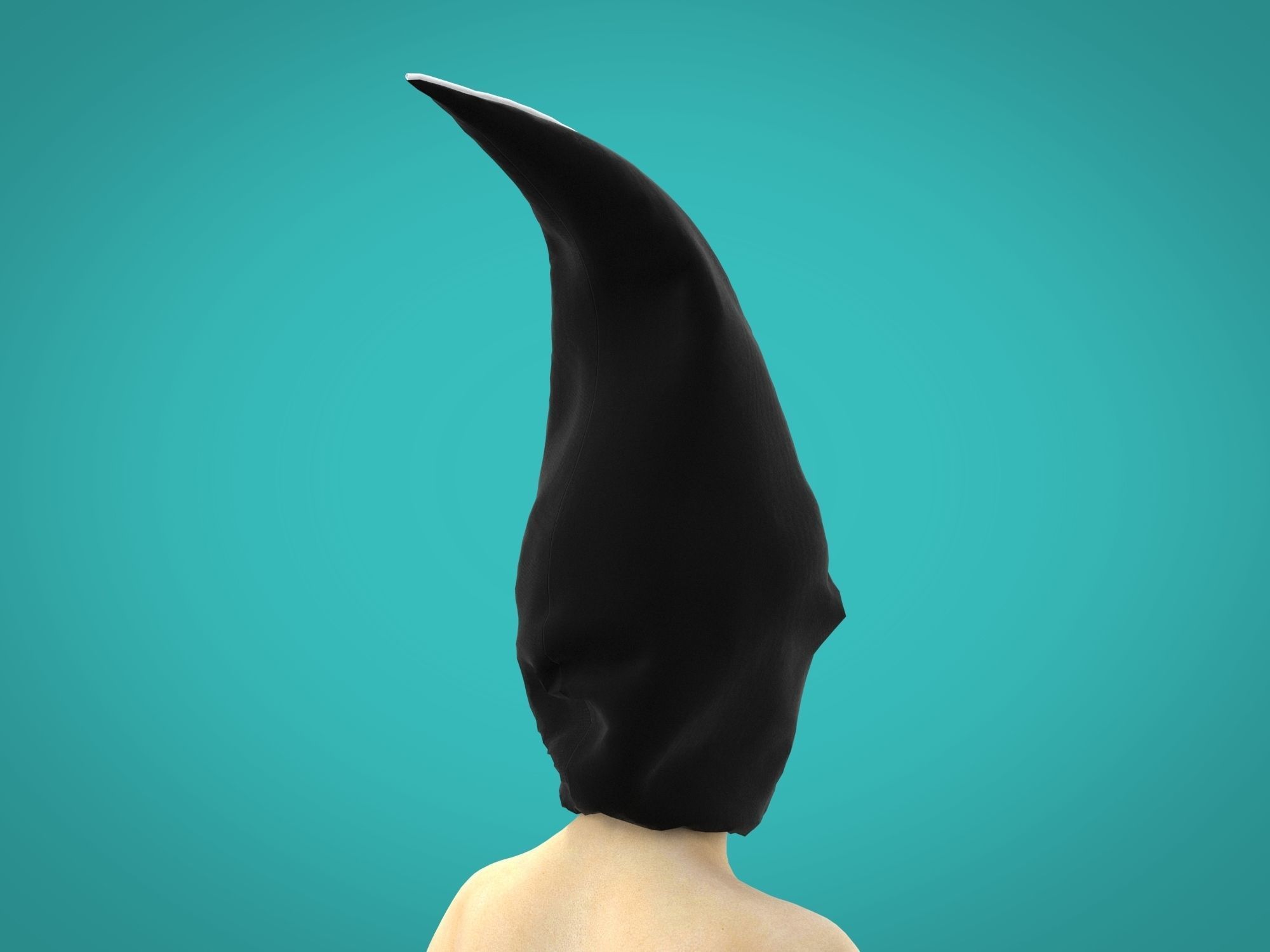 3d hood whale 3D model_5