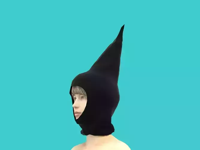 3d hood unicorn head 3D model