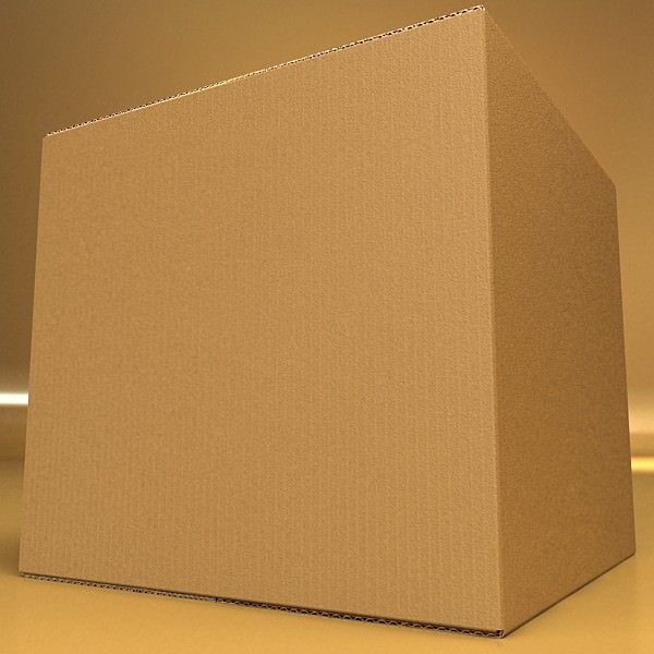 Photoreal Cardboard Carton High Res 3D model_2
