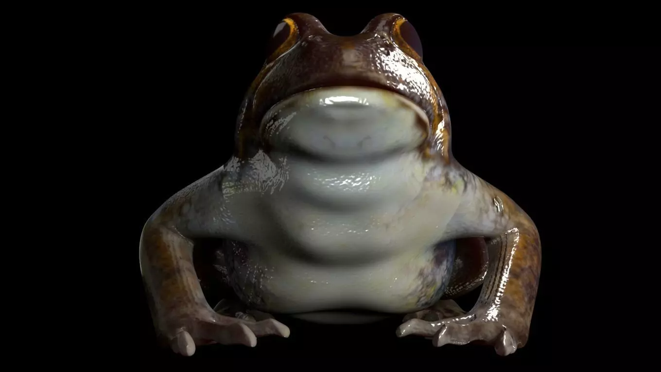Frogs frog 3D model_0