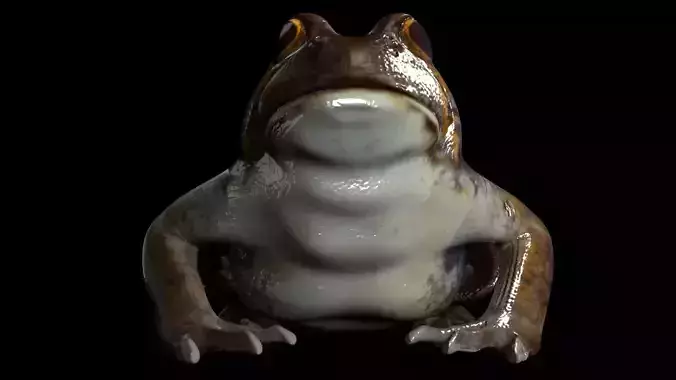 Frogs frog 3D model