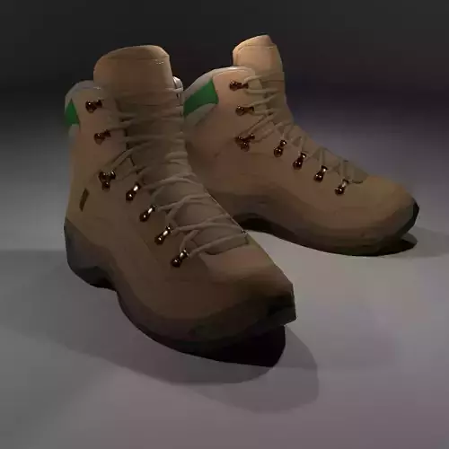 shoes pair of hiking boots