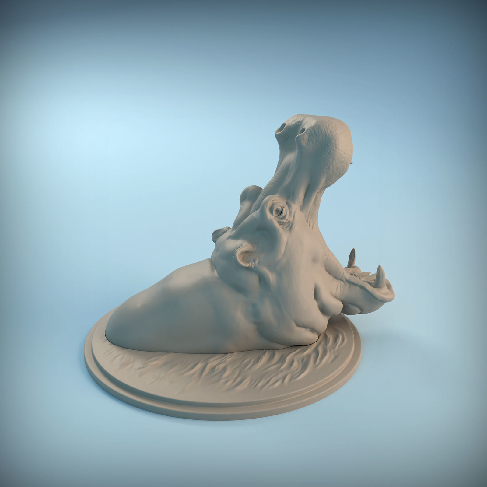 Hippo Head for 3D printing 3D print model_3