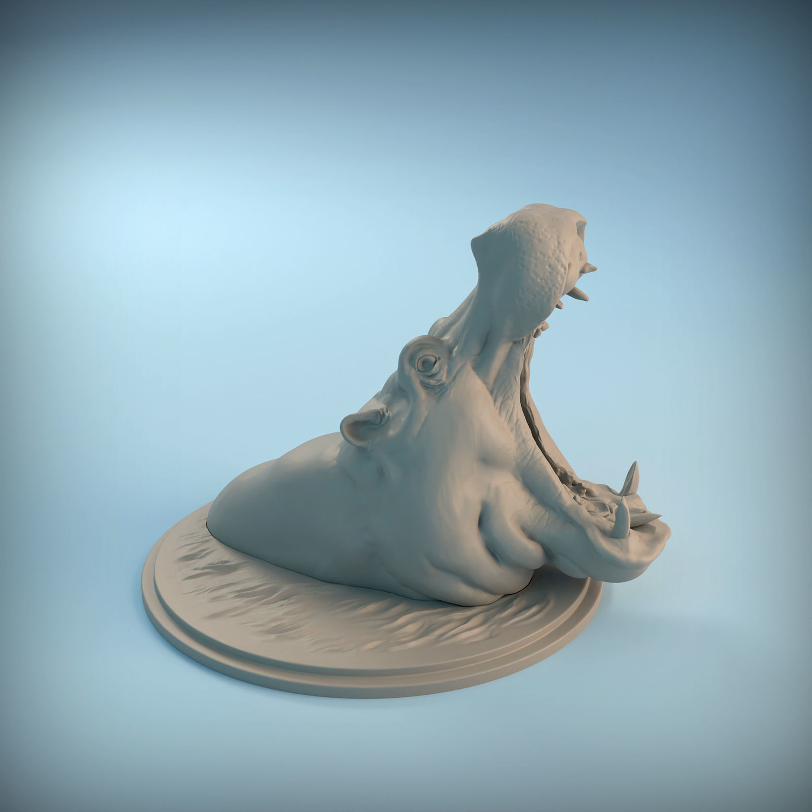 Hippo Head for 3D printing 3D print model_2