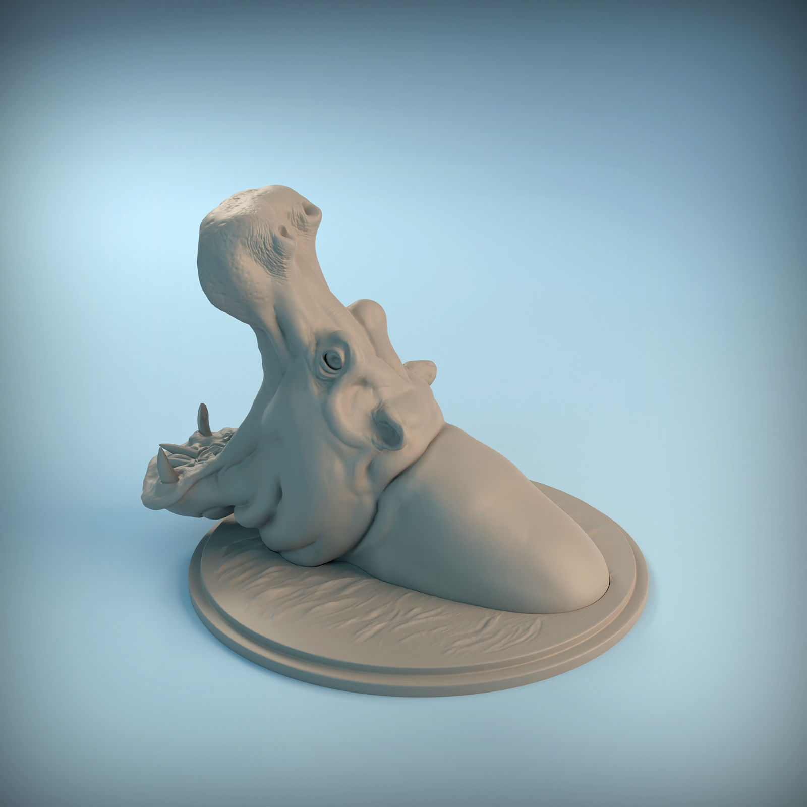 Hippo Head for 3D printing 3D print model_6