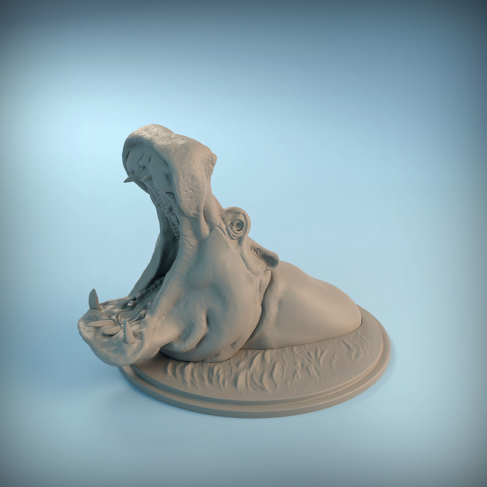 Hippo Head for 3D printing 3D print model_7