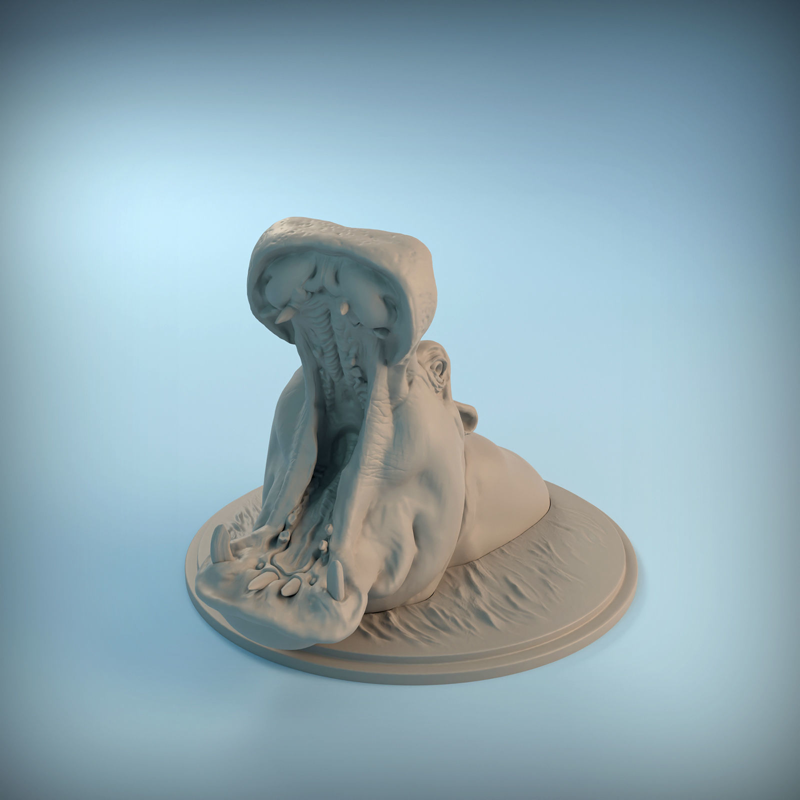 Hippo Head for 3D printing 3D print model_8