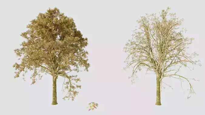 Tree and Twig 3D model