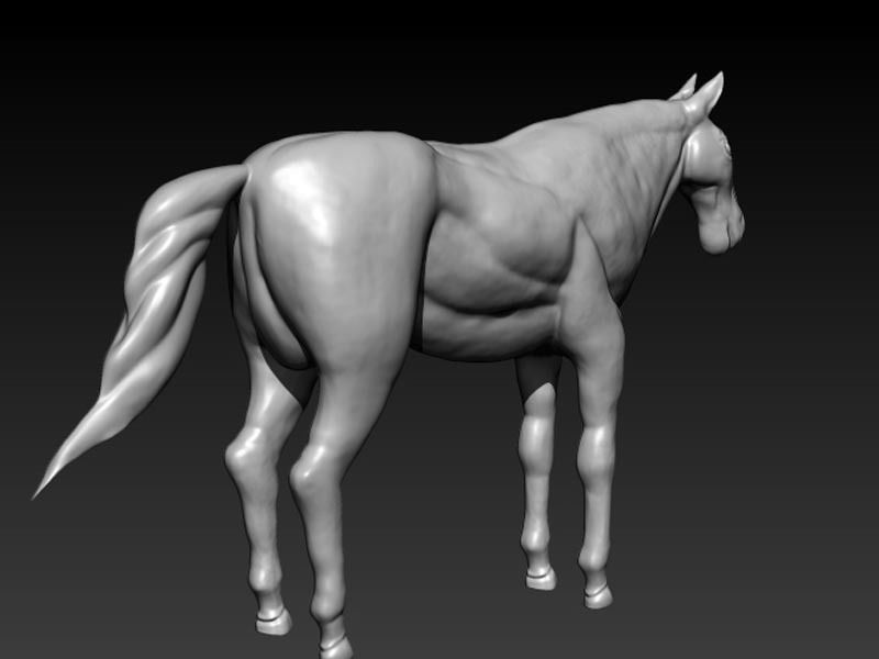 Horse Model 3D model_1