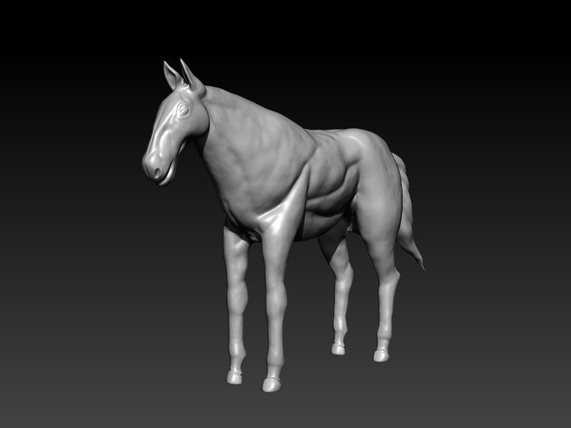 Horse Model 3D model_3