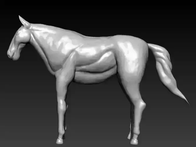 Horse Model